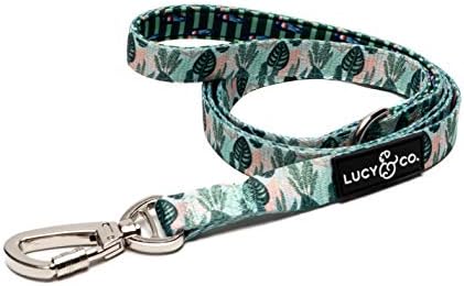 best small dog leash