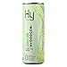 HyVida Organic Lemon-Lime Flavored Sparkling Water 12 Pack - Zero Calorie Sugar Free Drinks w/Powerful Antioxidants & Magnesium Electrolytes Canned Hydrogen Water - 12oz Carbonated Water Energy Drink