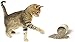 Tomcat Catnip - Essential for Refillable Cat Toys like Toy Mice or Sprinkle on a Scratch Pad (1 Cup)