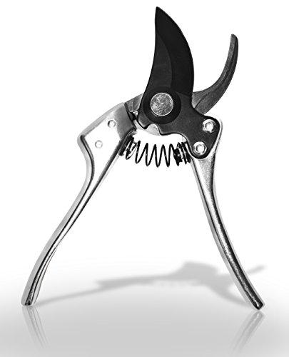 Basilica Botanica Pruning Shears - Best Gardening Tool