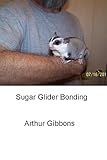 Sugar Glider Bonding