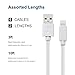 SNX (TM) Certified 4 Pack Lightning to USB Cable for iPhone, iPad and iPod ( 2 x 10 Feet & 2 x 3 Feet)