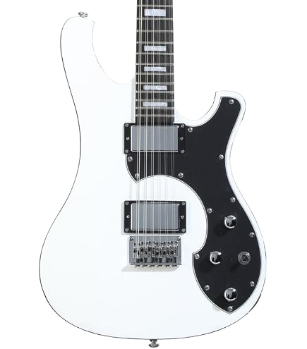 Amazon.com: Schecter Stargazer-12 12-string Electric Guitar