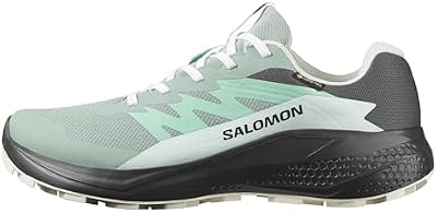 Sapatos impermeáveis ALPHAGLIDE Gore-Tex para Caminhadas para Mulheres