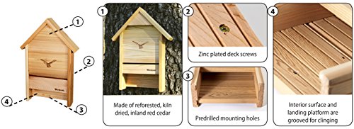 Woodlink BAT4 Cedar Bat Chalet