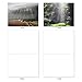 The Best Card Company - Box of 10 All Occasion Cards Blank (4 x 5.12 Inch) - Scenic Landscape Cards Assorted - Shining Through M1735BN