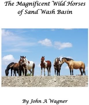 The Magnificent Wild Mustangs Of Sand Wash Basin