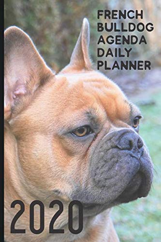 2020 French Bulldog agenda Daily Planner: Small calendar, small to keep the bag and pocket; Perfect gift for dog lovers, monthly and weekly diary, one week in 2 sheets-120 sheets 6x9 "