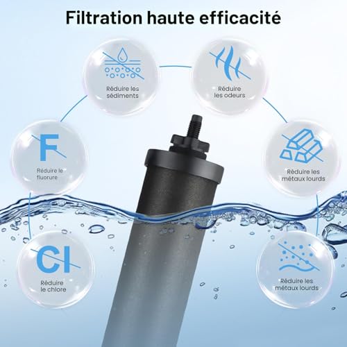 Filtre à eau de rechange, 2 filtre à eau à charbon actif pour filtration par gravité, charbon actif eau purificateur d'éléments de purification pour extérieur filtre eau maison