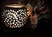 Coo Candles Electric Candle Wax Melt Warmer or Oil Burner Lamp Combo - Jasmine (Brown)