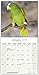 Amazon Parrot Calendar - Parrot Calendar - Bird Calendars - Calendars 2017 - 2018 Wall Calendars - Monthly Wall Calendar by Avonside