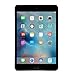 Apple iPad mini 4 (32GB, Wi-Fi + Cellular, Space Gray)