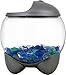 Tetra 29263 Betta Bubble Betta Bowl with Built In LED Light