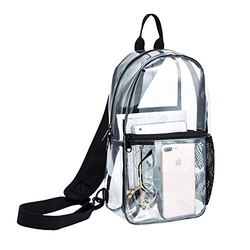 tiny clear backpack