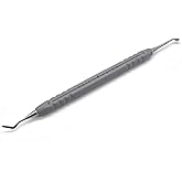 Angzhili 1 Piece Dental Composite Resin Filling kit Molding Tools,Gray | with Plastic Handle and Stainless Steel Tips,Dental Instruments