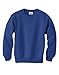 Hanes Youth Boys Synthetic Solid Crewneck Long Sleeve Sweatshirt in Deep Royal