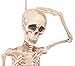 PREXTEX Tall Posable Halloween Skeleton- Full Body Halloween Skeleton with Movable/Posable Joints for Best Halloween Decoration