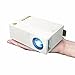 WEILIANTE Mini LED HD Projector Home Theatre Cinema Video Projector Connection with iPhone Android iPad Tablet for Home Outdoor Available via AV/VGA/USB/SD/HDMI Input (White)