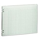 WLJG3020 - Wilson Jones Accounting Sheets