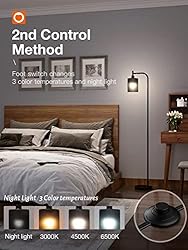 addlon LED Floor Lamp, with Matte Black Hanging