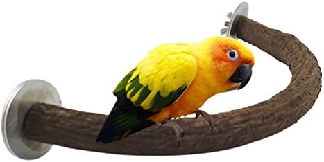 Purple Star Natural Wood Bird Perch Swing, U Shape