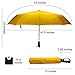 Rainlax Travel Windproof Umbrella Lightweight 10 Ribs Automatic Compact Canopy Umbrellas for Men/Women One Handed Operation