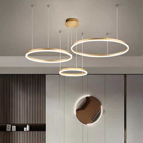WayLuoung Metal LED Chandelier | 3 Circles 20+40+60cm | 45W Hanging Ceiling Light With Rings, Dimmable Remote Control 3000-6000K, Acrylic Lampshade Living Room Bedroom Foyer Dining Room【Gold】
