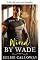 Livro Eletrizada por Wade (Obsessão operária Livro 2)