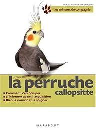 Les  perruches callopsittes