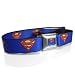 Superman Blue Seatbelt Belt, One size fits most