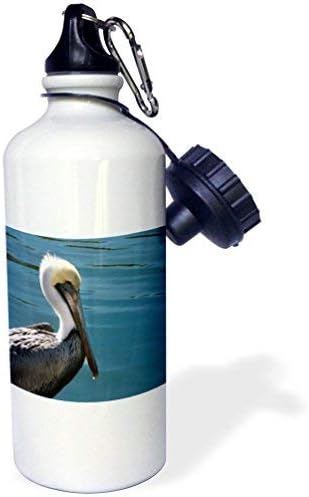 ANGELA G pelican facing right blue Sports Water Bottle, 21 oz, White Stainless Steel Water Bottle