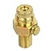 Interstate Pneumatics WRCO2-PV Brass Pin Valve for CO2 Paintball Tank