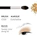 Crown PRO - Eyeshadow Blending Trio - Lid, Crease, and Detail Brushes