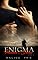 Livro Enigma - Pecados & Danos