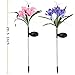 Solar Garden Stakes Hummingbird Flower Light Christmas Outdoor Lawn Decoration Stake Lights Multi-Color Changing LED Flowers with Birds Party Lights Waterproof for Yard Patio Landscape