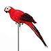 LWINGFLYER Red Artificial Parrot Life Size Foam Feather Parrot Macaw Birds for Decoration Costume Shoulder Ornament Modern Home Garden Party Decor (13.8inch/35cm)