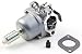 Briggs & Stratton 799727 Carburetor Replaces 791886/698620/690194 primary