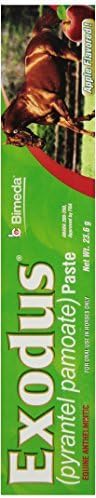 IVESCO 6850007 Exodus Equine Deworm Paste for Horses, 23.6gm by Ivesco