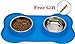 BINGPET Stainless Steel Dog Bowl No Spill Food and Water Double Bowls for Pet Puppy Cat with Silicone Mat