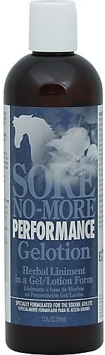 Arenus Sore No More Performance Gelotion