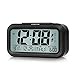 Peakeep Battery Digital Alarm Clock with 2 Alarms for Optional Weekday Mode,Snooze, Night Light (Black)