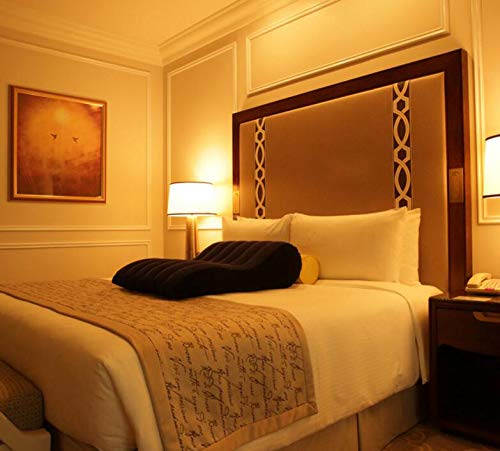 6 Muscle+Masters+Portable+Inflatable+CushionClimax