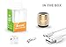Ancord Micro Bluetooth Speaker TWS System Portable Tiny Body Loud Voice Shutter Button Selfie Features (Gold)
