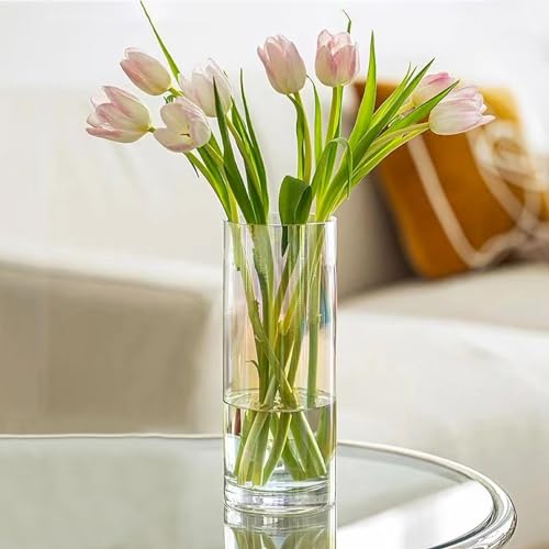 QEEYON 30cm Tall Glass Cylinder Vase, Extra Large Thickened Crystal Flower Vase for Living Room Kitchen Office Wedding Flower Arrangements (30x12cm)