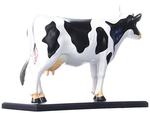 Tedco 4D Vision Cow Model