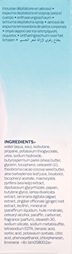 bliss Fuzz Off Foam Body Hair Removal Spray Foam 2.0 fl. Oz