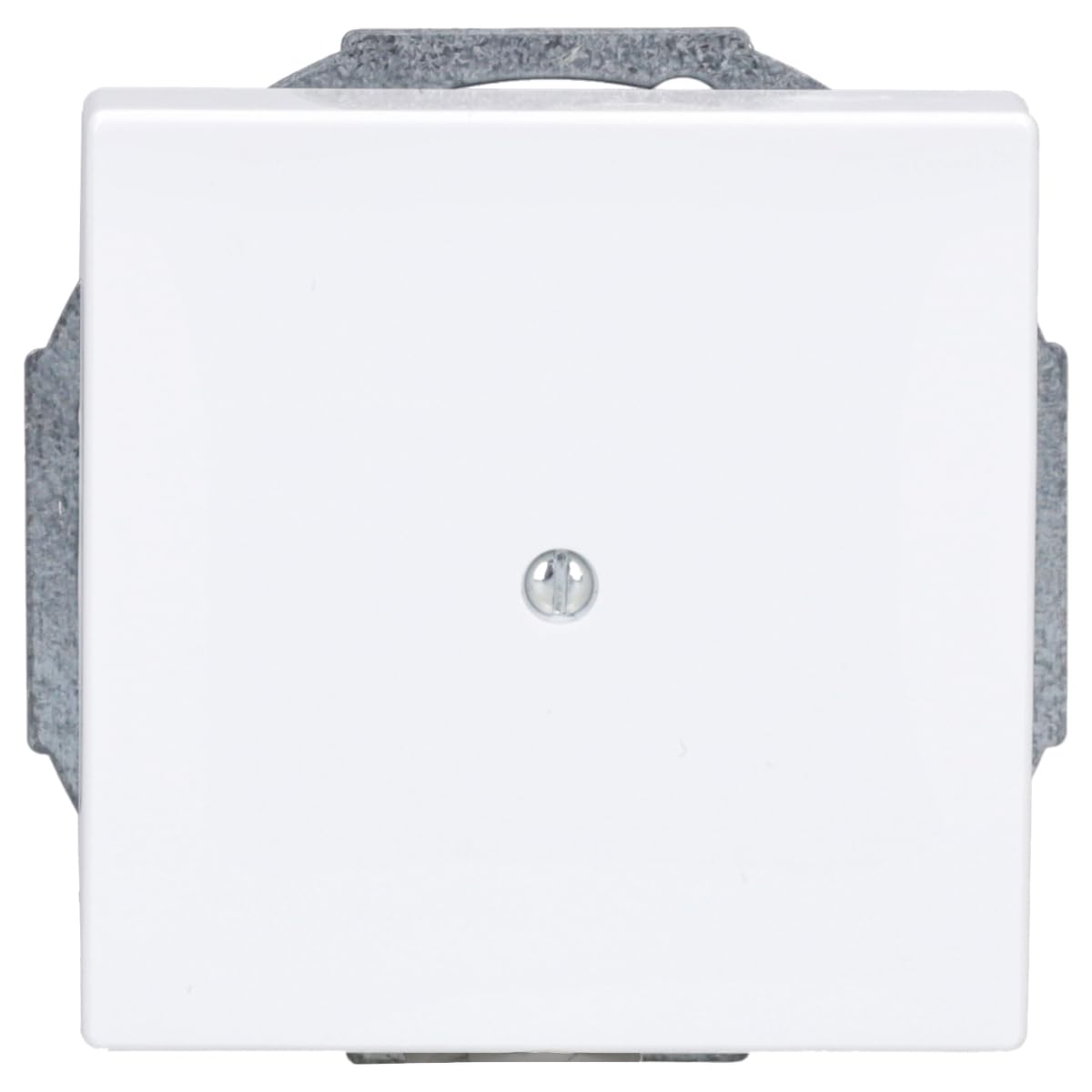 Busch-Jaeger 1749-84 Central Switch