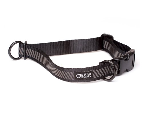 Stunt Puppy Go Dog Glo Everyday Collar, Black