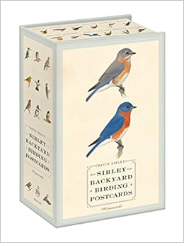 Sibley Backyard Birding Postcards: 100 Postcards (Sibley Birds) Sibley Backyard Birding Postcards: 100 Postcards (Sibley Birds)