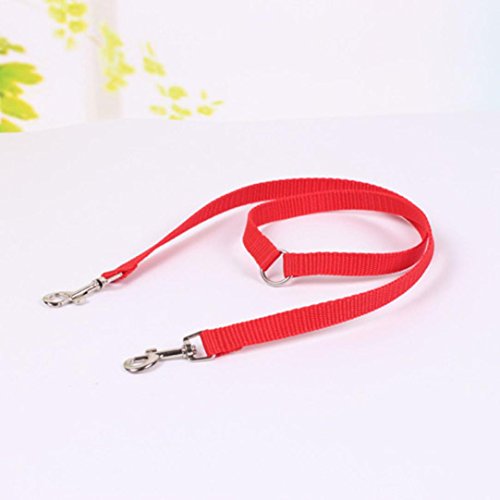 Letdown Double Dog Twin Strong Multicolor Lead Two Pet Dogs Walking Leash (Red)